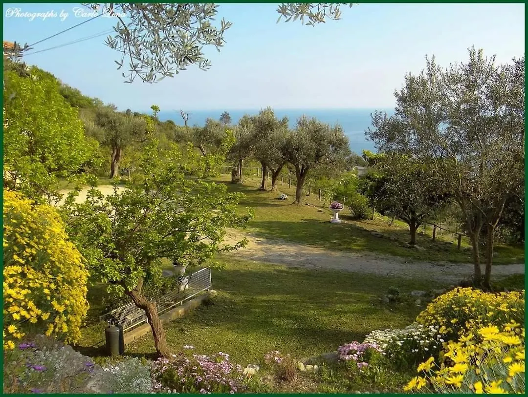 Villa Pierina Finale Ligure 0*,