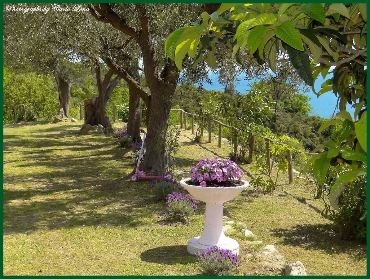 Villa Pierina Finale Ligure Italia
