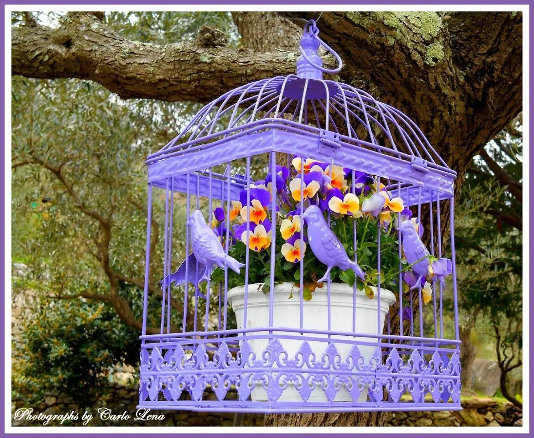 Villa Pierina Finale Ligure